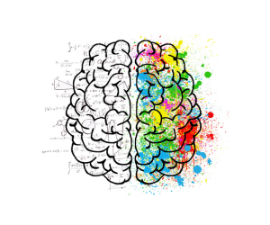 Is Your Brain the Same as Your Mind?